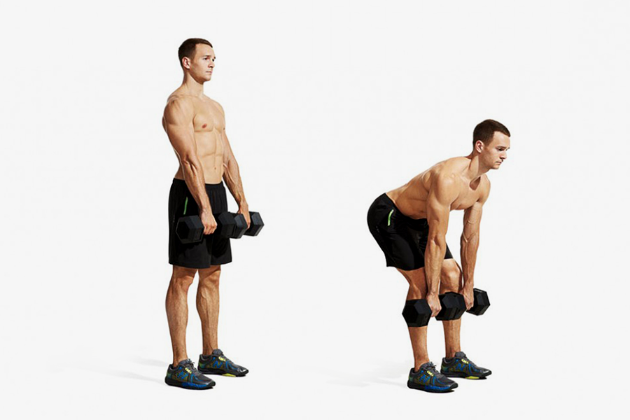 Dumbbell Stiff Leg Deadlift