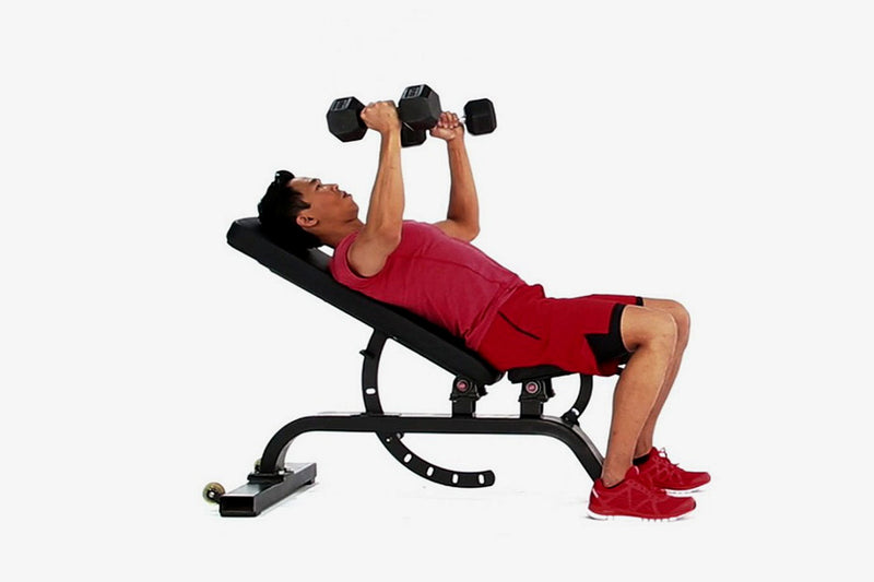 Incline Dumbbell Press
