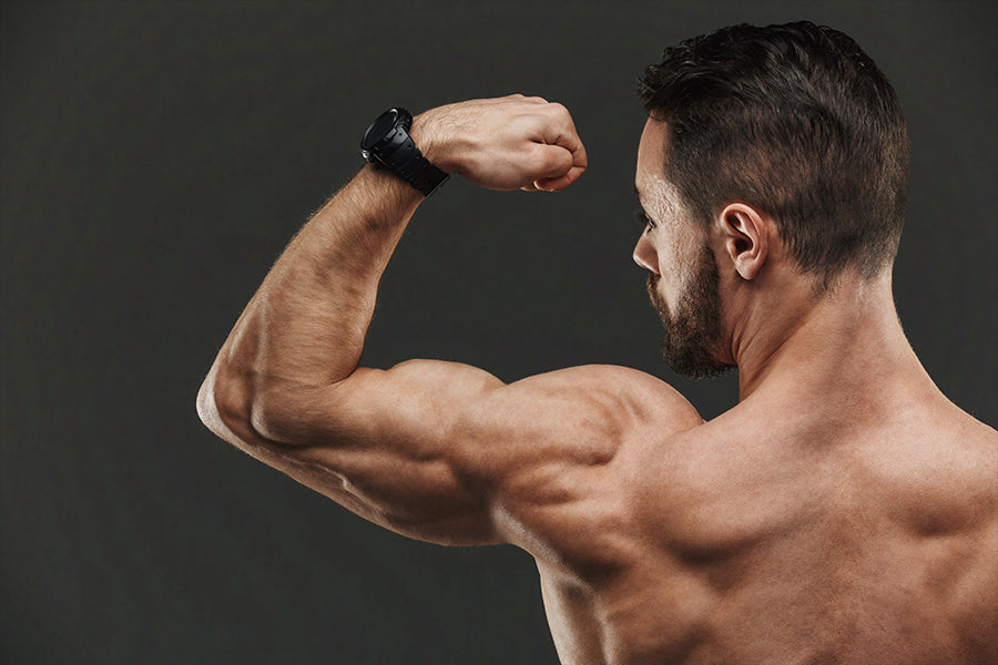 Deltoid Destruction: Shoulder Workout With High Volume and Intensity