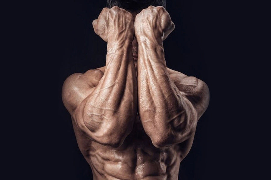 Top 15 Forearm Wrist Strengtheners of 2022: Reviewed