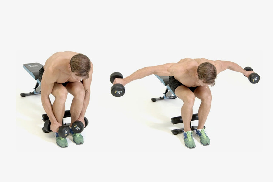 Seated Bent-Over Dumbbell Reverse Fly