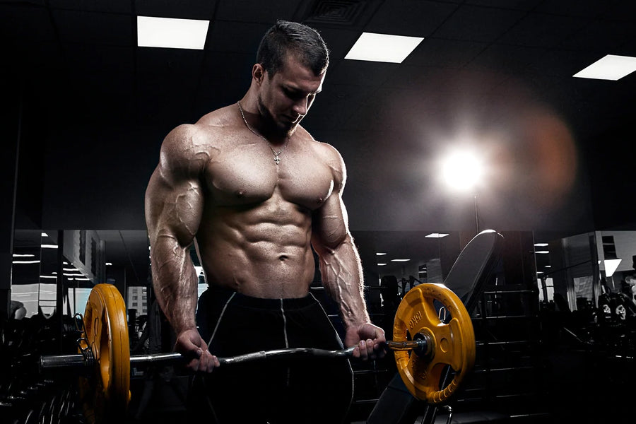 Training Plan to Build Your Lagging Chest – DMoose