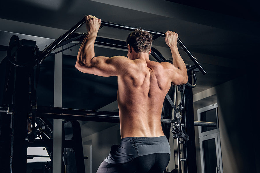 Pull-Day Workout: Exercises to Strengthen Your Back, Shoulders