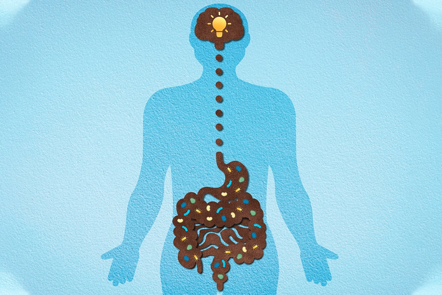Here’s How Probiotics Can Improve Your Mental Wellbeing