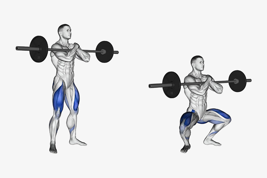 Zercher Squats: Muscle Worked, Benefits & Form