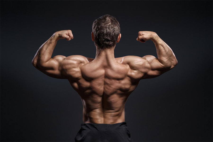 The Massive Muscle Bulk-Up: How to Gain 5 Pounds in 5 Weeks - Men's Journal