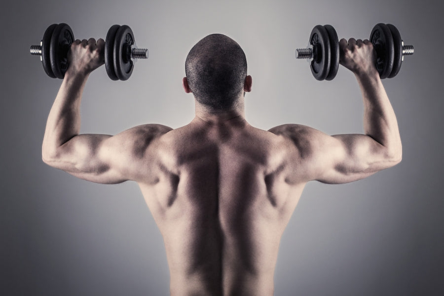 Transform Your Physique: Dumbbell Back Exercises You Can't-Miss