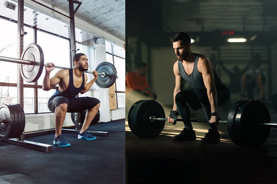 The Best Muscle Groups to Work Out Together for Best Results