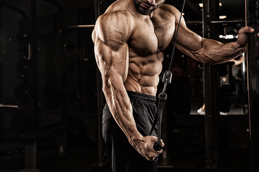 5 Best Arm Exercises to Build Muscle