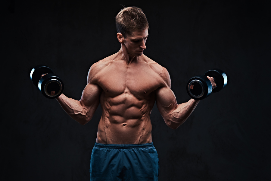 Build arm muscle with dumbbells hotsell