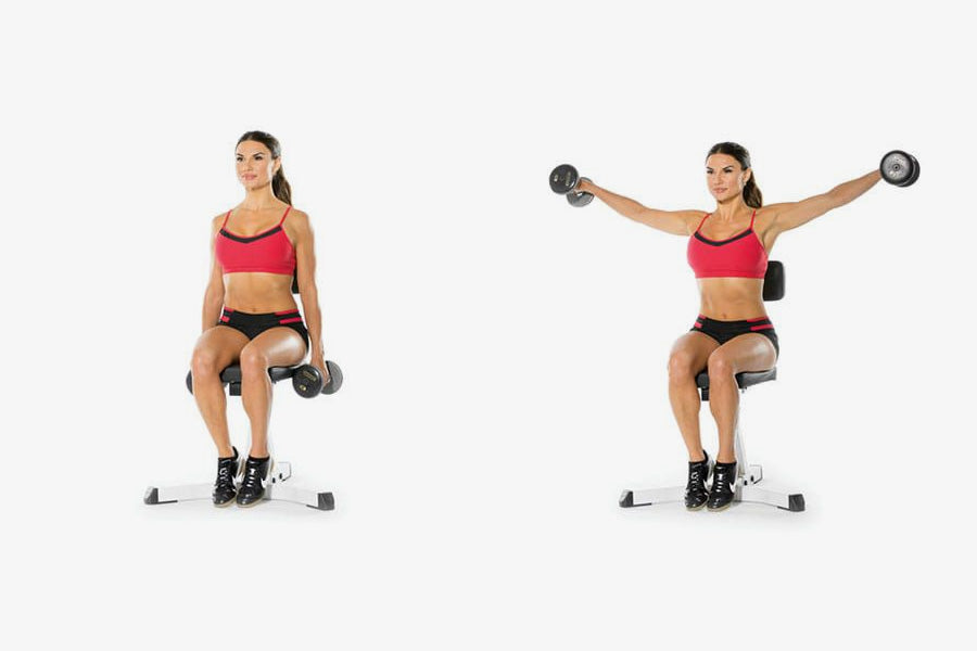 Seated Dumbbell Press