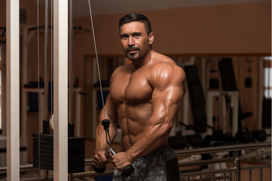 A 12-Week Workout Plan to Build Massive Triceps – DMoose