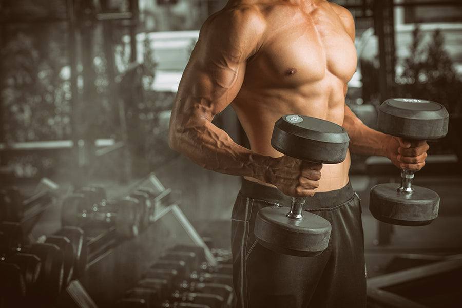 Here Is the Best Advanced Workout Plan For Bodybuilders – DMoose