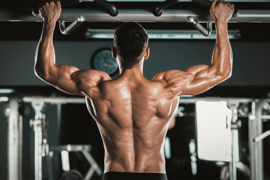 The Best Back Exercises for V Shape Back 