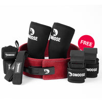DMoose Lifting Kit belt