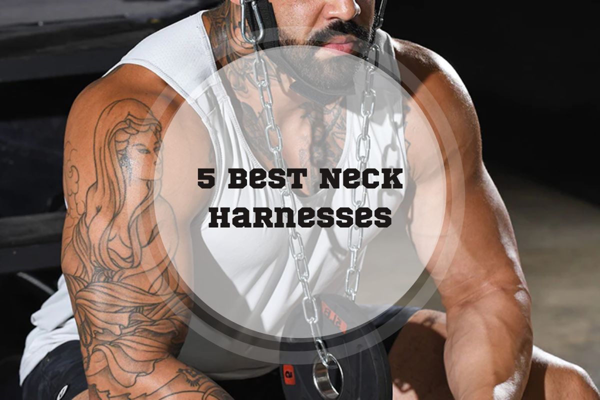 5 Best Neck Harnesses in 2023