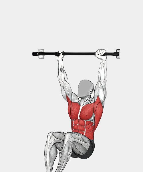 Anatomy illustration of an L-sit hold hanging from the doorway bar, with the abs and hip flexors highlighted in red