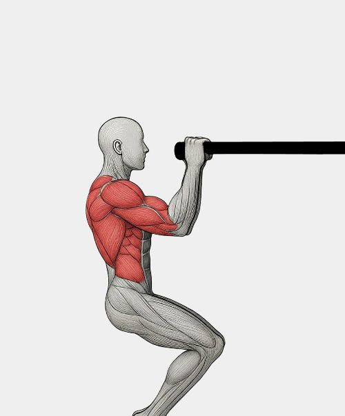 Anatomy illustration of a neutral-grip pull-up on the doorway bar, side view, with the back and arm muscles highlighted in red