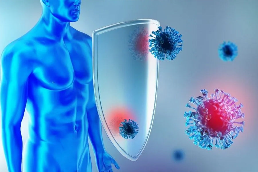 What Researcher Says on Improving Your Immune System to Prevent Diseases | Complete Guide