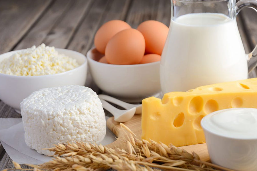 Top 7 Benefits of Whey Protein Powder