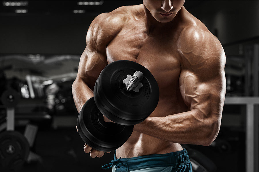 Top 7 Proven Ways to Go From Lean to Muscular
