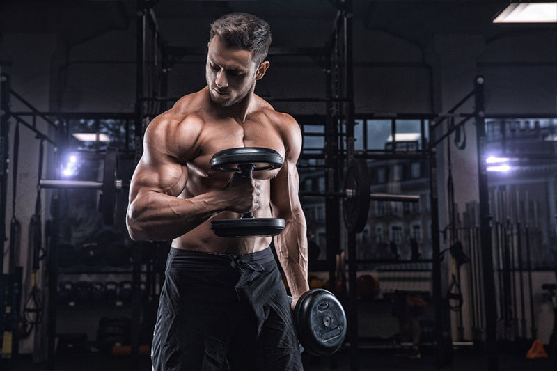 10 Tips for Skin Tight and Sleeve Bursting Bicep Pumps