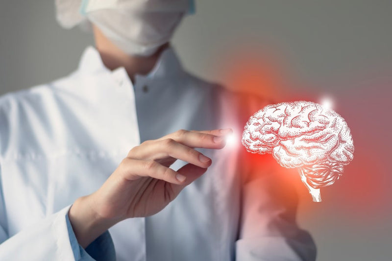 New Study Suggests Sleep Apnea Can Cause Direct Harm to the Brain.