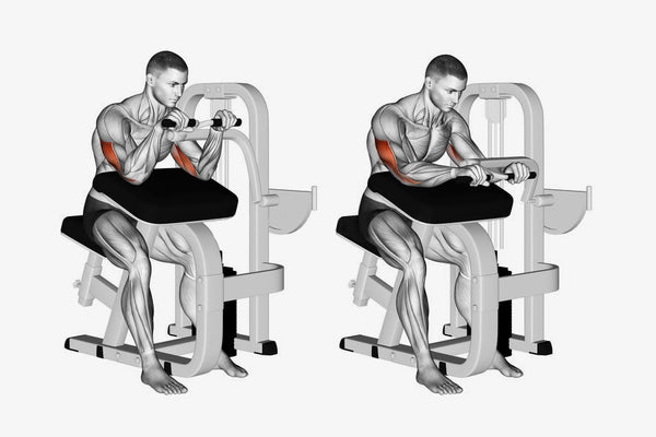 Machine Tricep Extension