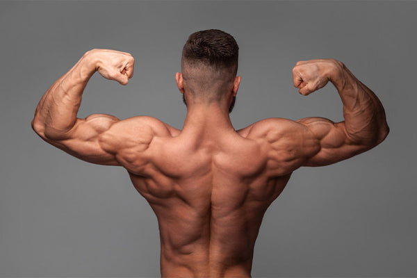 8-Week Intermediate Muscle-Building Plan for Massive Gains