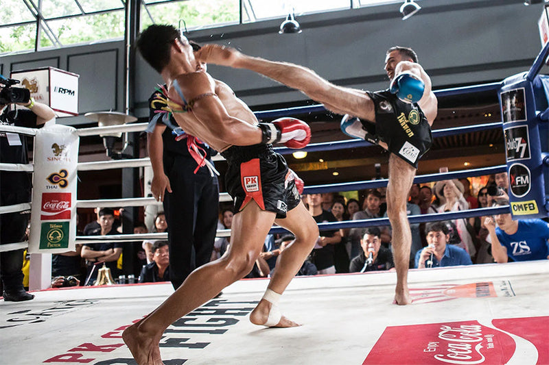 MMA & Boxing Workouts