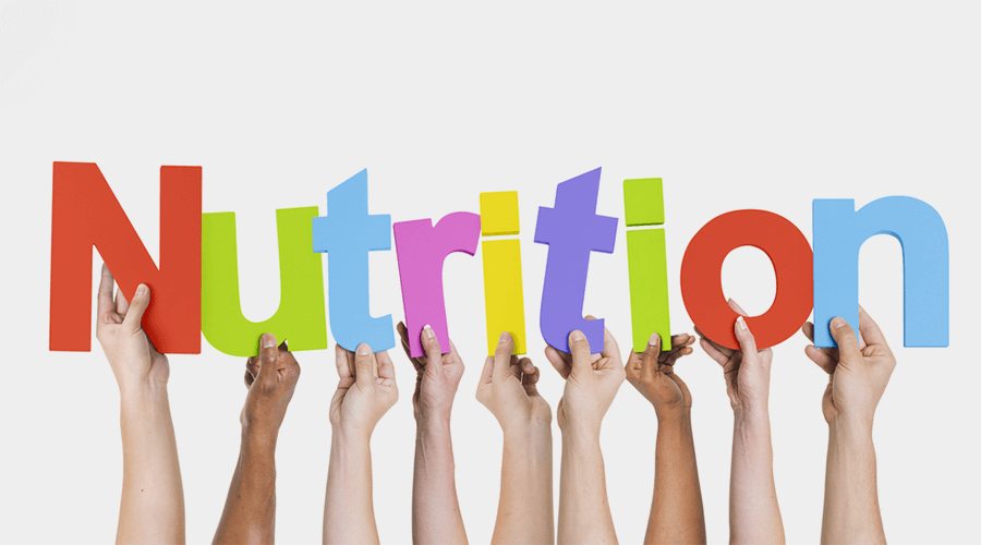 What Is Nutrition? Discuss the Basics of Nutrition in a Nutshell