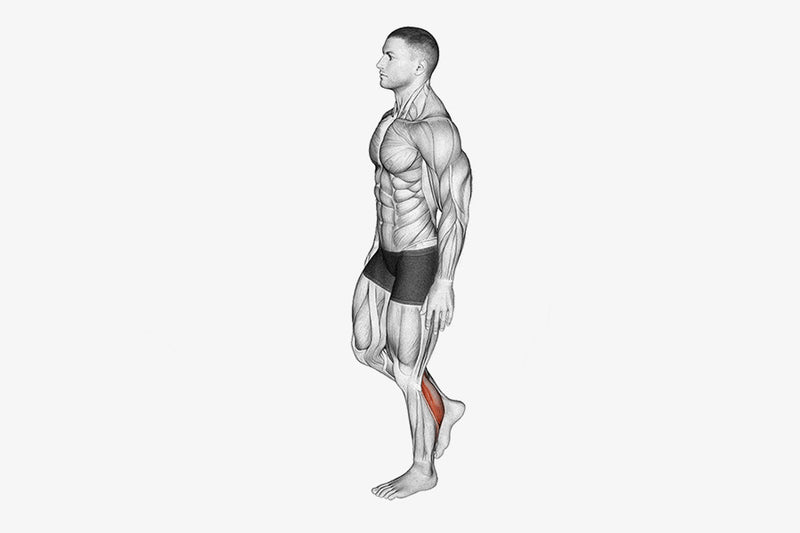 Standing One Leg Calf Raise