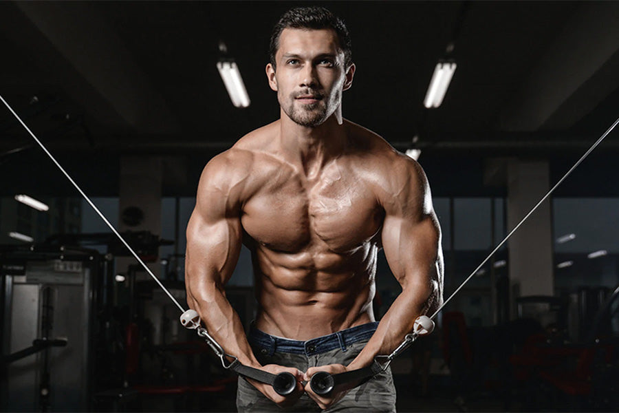 Chest Workout: Best Push & Stretch Workout for Killer Chest Gains