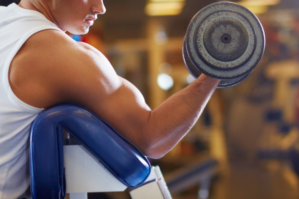 Dumbbell Preacher Curl