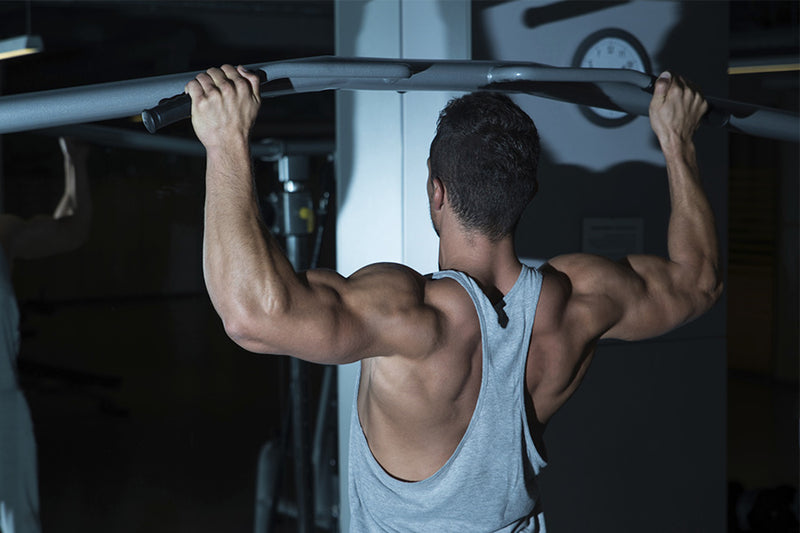 Reverse Grip Chin-Up