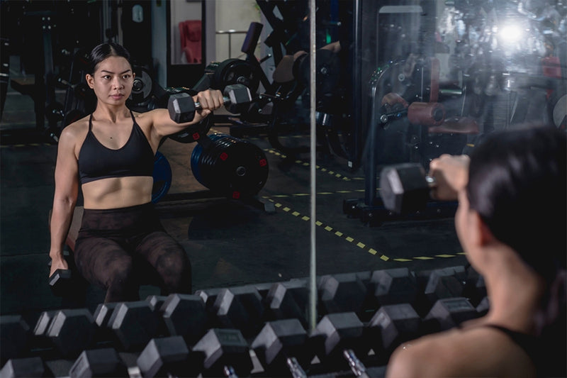 Seated Dumbbell Front Raise