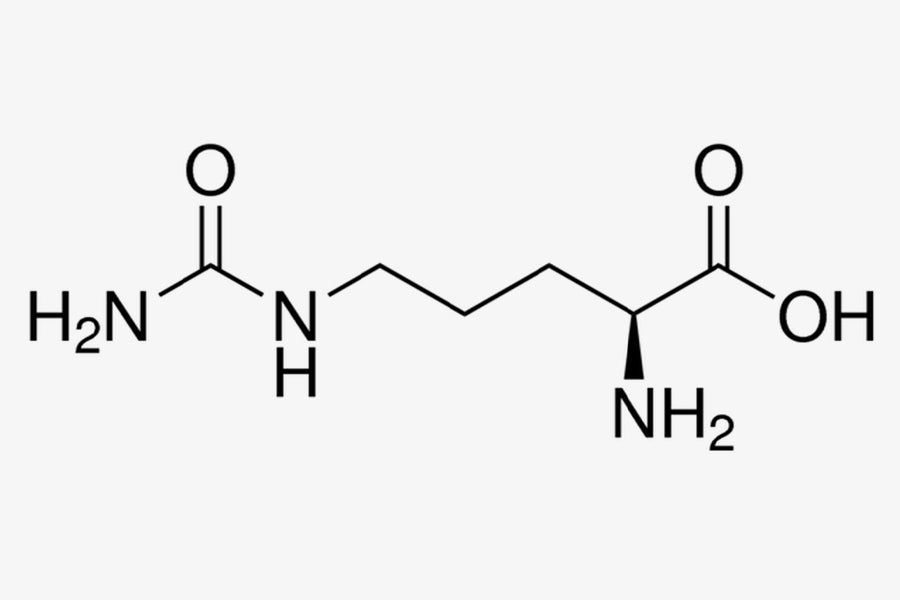 A Study Says that Citrulline Supplementation Improves Blood Flow & Exercise Performance