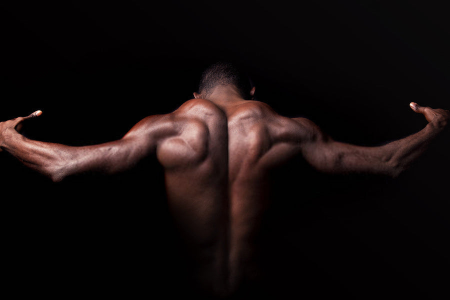 Top 5 Ways to Gain a Muscular Body Without Going to Gym