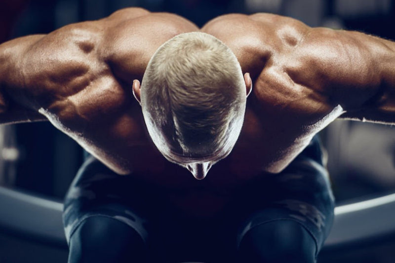 The Secret to Getting Big Traps: 2 Day Trapezius Building Workout Program