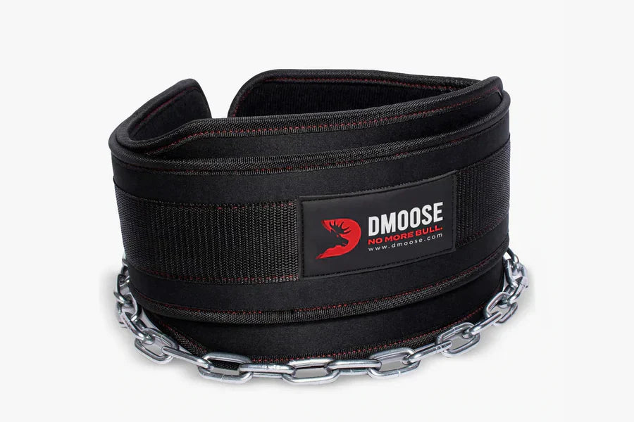weighted dip belt for dips