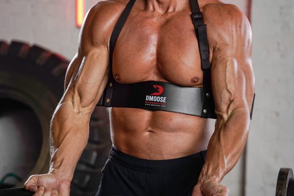 Biceps Curl Variations