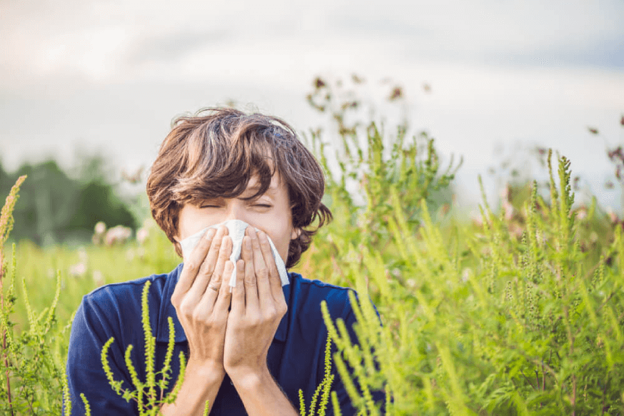 Sneeze-proof Your Spring: How to Ease Those Pesky Allergies