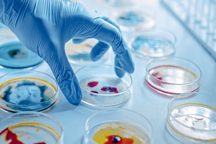 Harvard Research Reveals Culprit Behind Endometrial Cancer in Women