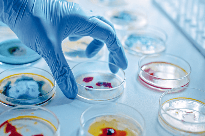 Harvard Research Reveals Culprit Behind Endometrial Cancer in Women