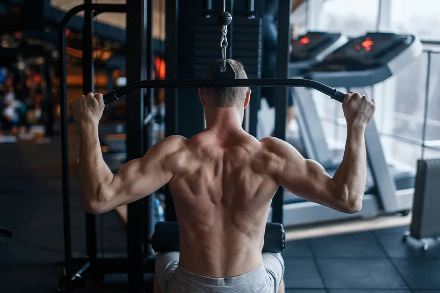 Get a Huge Back with Only 3 Exercises