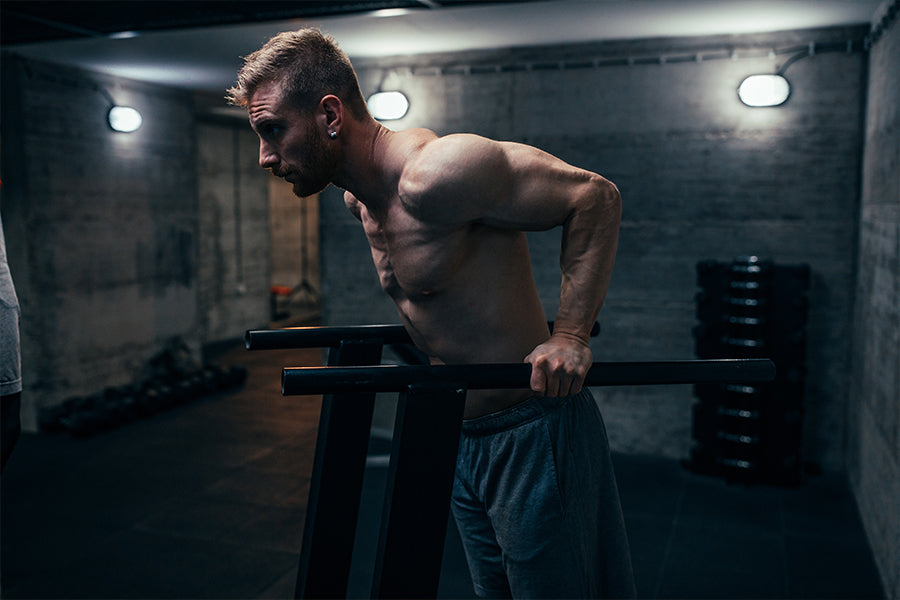Chest Dips – DMoose