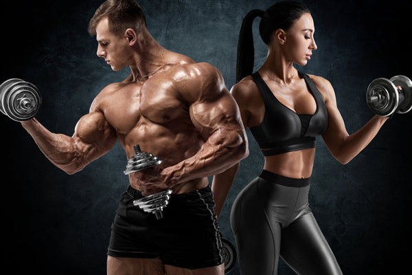 Dumbbell Workout Plan