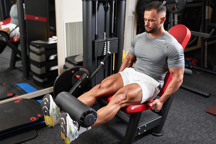 Leg Extensions: Build Stronger Quads and Sculpt Muscular Legs