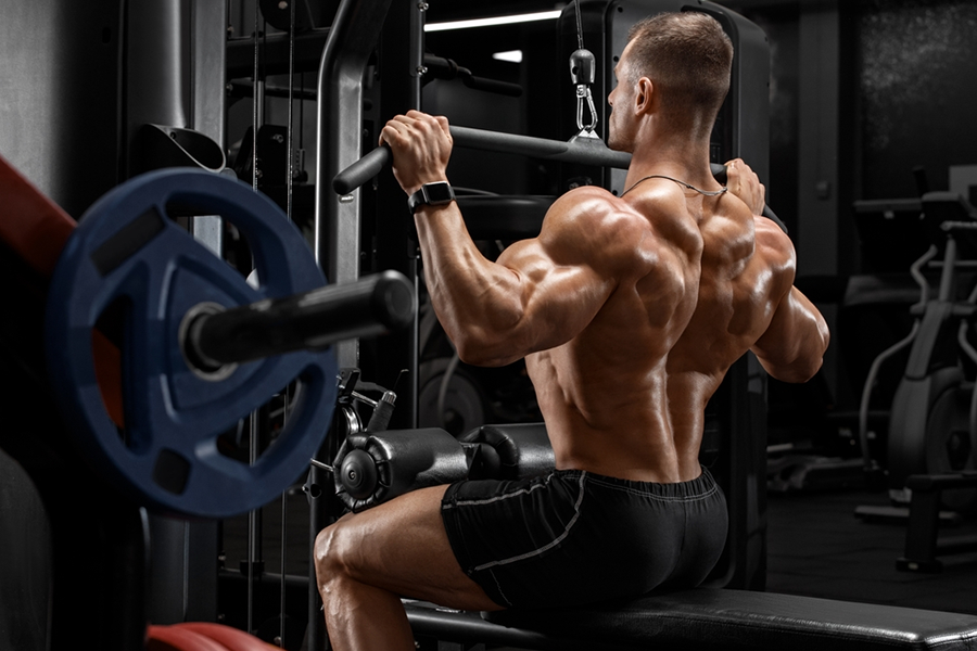 What are Deltoid Muscles? 6 Best Shoulder Isolation Exercises for Men to Get Bigger Deltoids