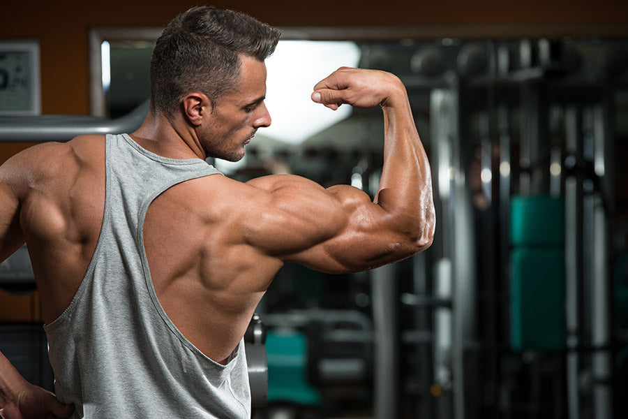Can You Lose Fat and Gain Muscle at the Same Time? Body Recomposition Guide